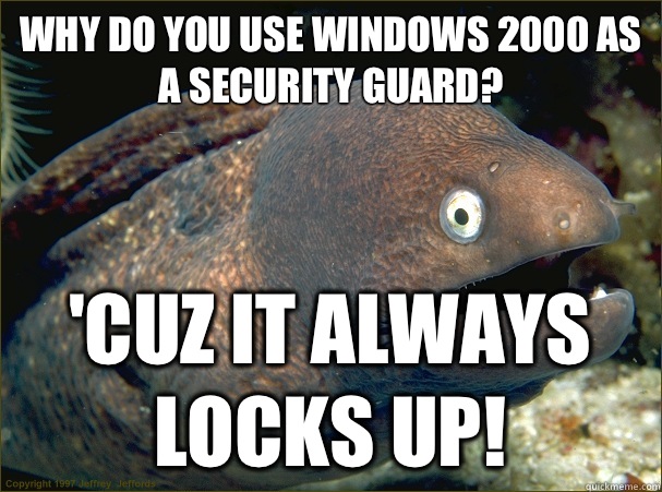 Why do you use windows 2000 as a security guard? 'Cuz it always locks up!  Bad Joke Eel