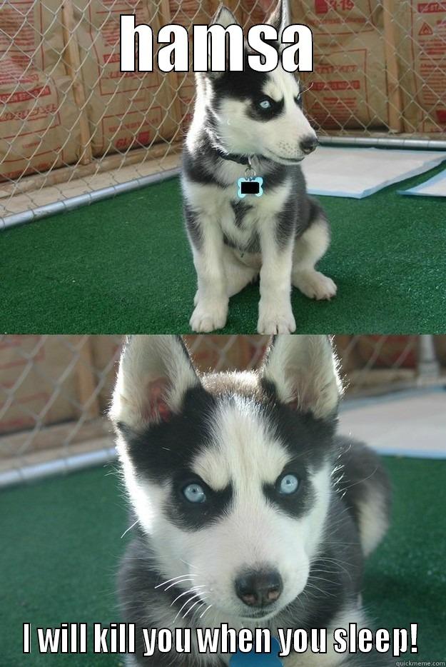 HAMSA I WILL KILL YOU WHEN YOU SLEEP! Insanity puppy