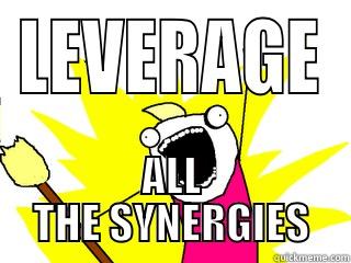 Leverage Synergies - LEVERAGE ALL THE SYNERGIES All The Things