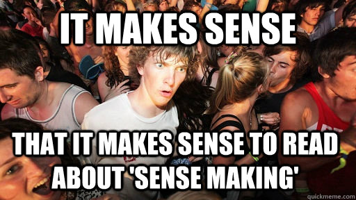 It makes sense that it makes sense to read about 'sense making'  Sudden Clarity Clarence