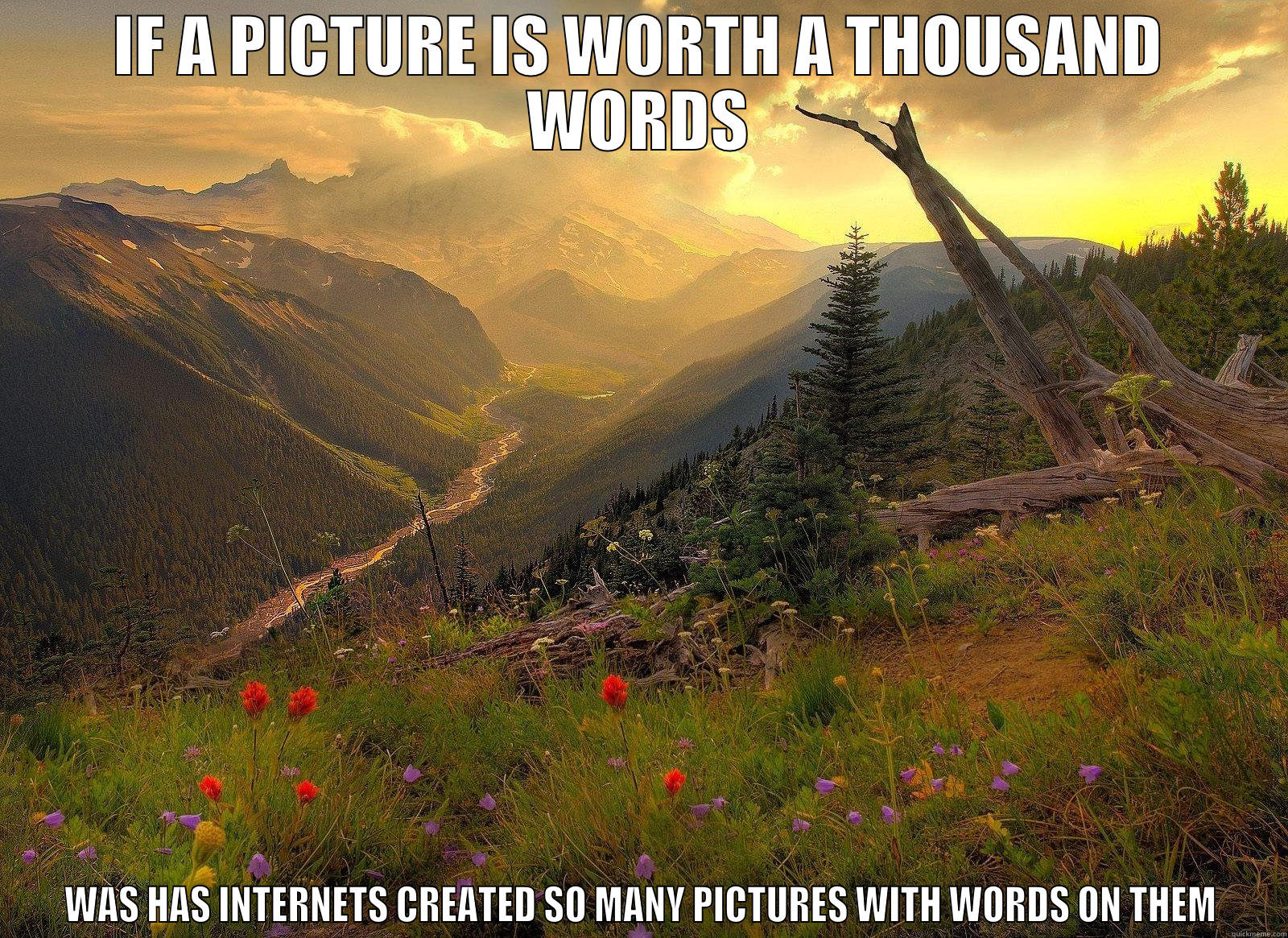 Memes are worth nothing - IF A PICTURE IS WORTH A THOUSAND WORDS WAS HAS INTERNETS CREATED SO MANY PICTURES WITH WORDS ON THEM Misc
