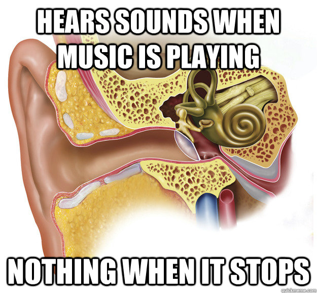 Hears sounds when music is playing Nothing when it stops - Hears sounds when music is playing Nothing when it stops  Scumbag Ear