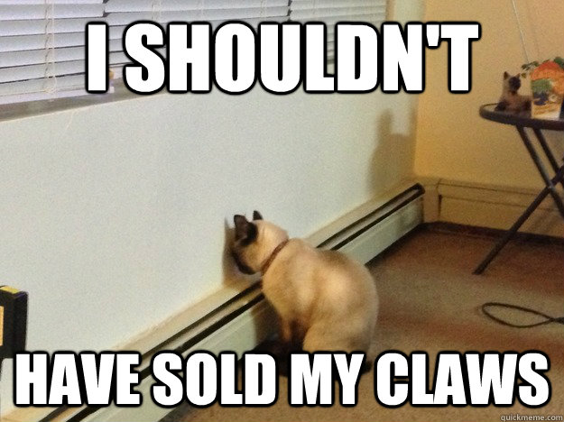 I shouldn't have sold my claws - I shouldn't have sold my claws  Regretful Cat