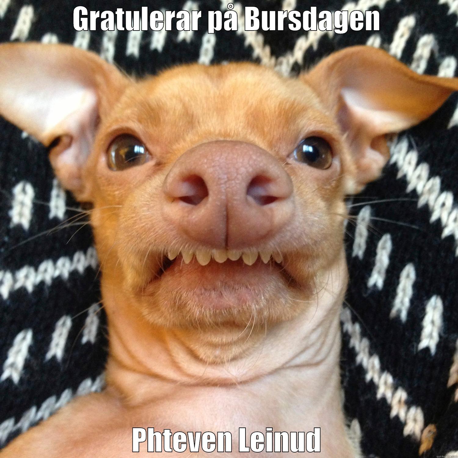 GRATULERAR PÅ BURSDAGEN PHTEVEN LEINUD Misc