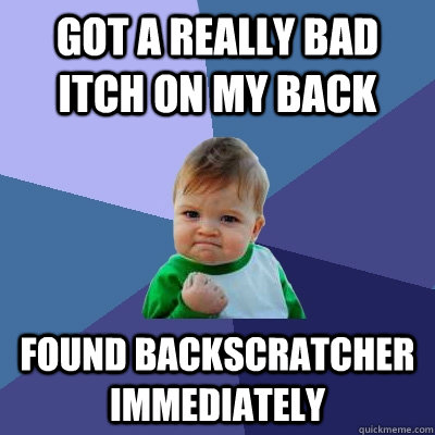 Got a really bad itch on my back Found backscratcher immediately - Got a really bad itch on my back Found backscratcher immediately  Success Kid