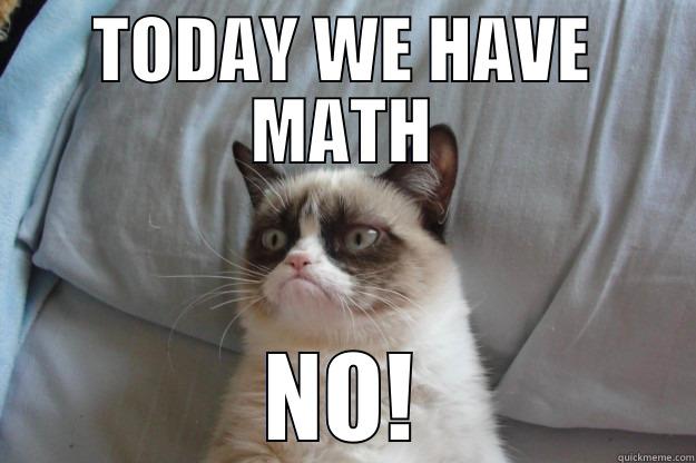 SAY NO TO MATH - TODAY WE HAVE MATH NO! Grumpy Cat
