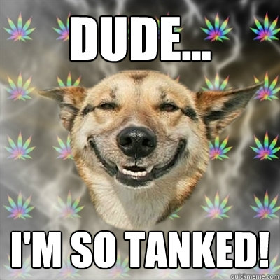 DUDE... I'm SO TANKED!  Stoner Dog