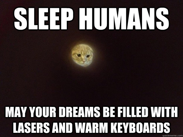 sleep humans may your dreams be filled with lasers and warm keyboards - sleep humans may your dreams be filled with lasers and warm keyboards  Creepy Moon Cat