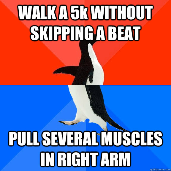 WALK A 5k WITHOUT SKIPPING A BEAT PULL SEVERAL MUSCLES IN RIGHT ARM  Socially Awesome Awkward Penguin