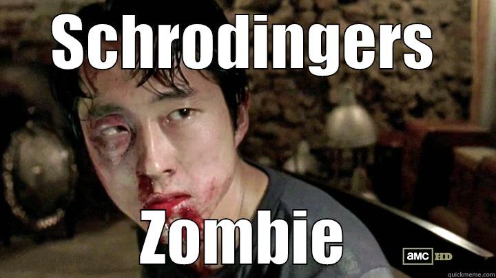 SCHRODINGERS ZOMBIE Misc