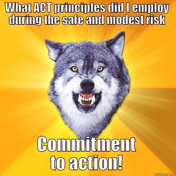 WHAT ACT PRINCIPLES DID I EMPLOY DURING THE SAFE AND MODEST RISK COMMITMENT TO ACTION! Courage Wolf