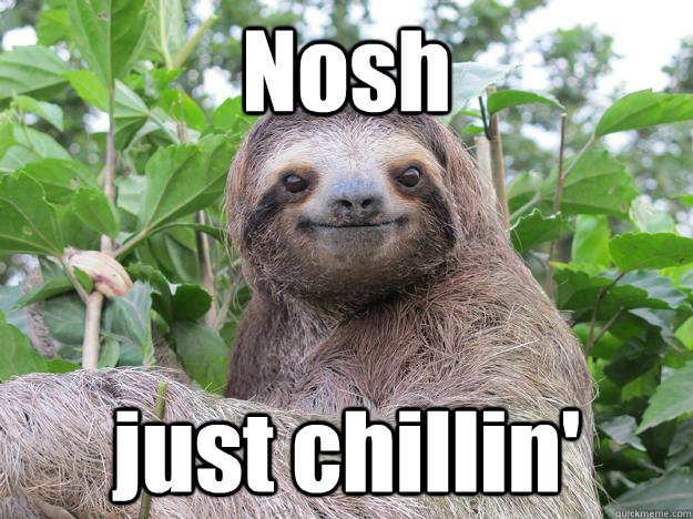 Nosh just chillin' - Nosh just chillin'  Stoned Sloth