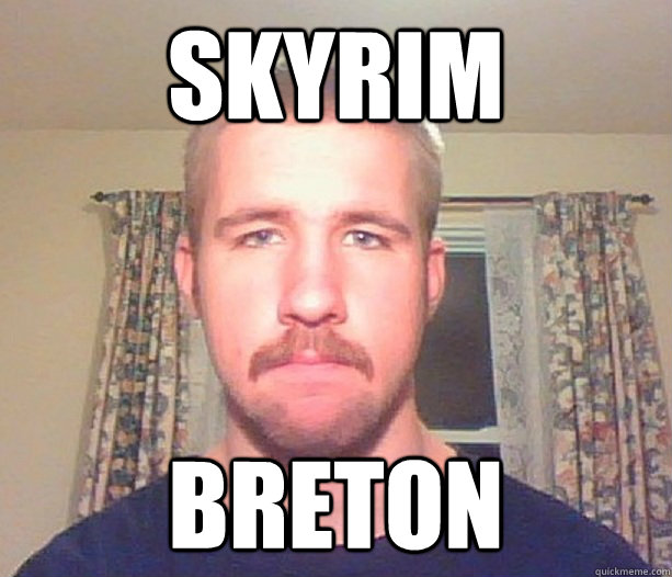 skyrim breton  Normal guy