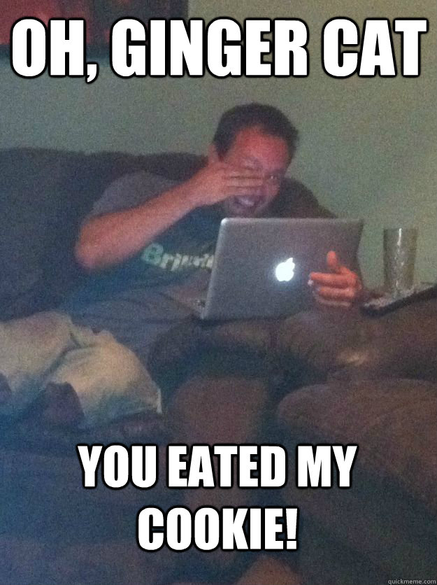 Oh, ginger cat you eated my cookie! - Oh, ginger cat you eated my cookie!  MEME DAD