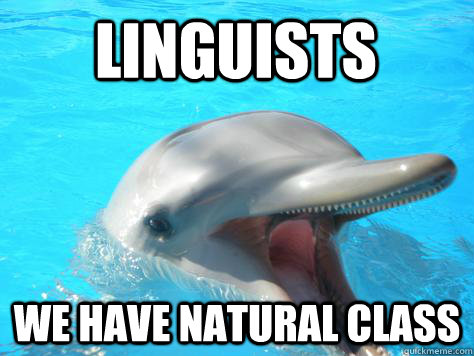 linguists we have natural class  