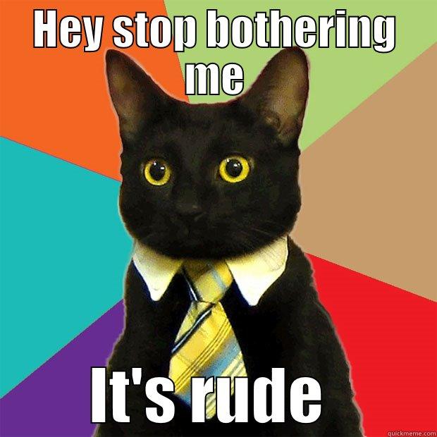 HEY STOP BOTHERING ME IT'S RUDE  Business Cat