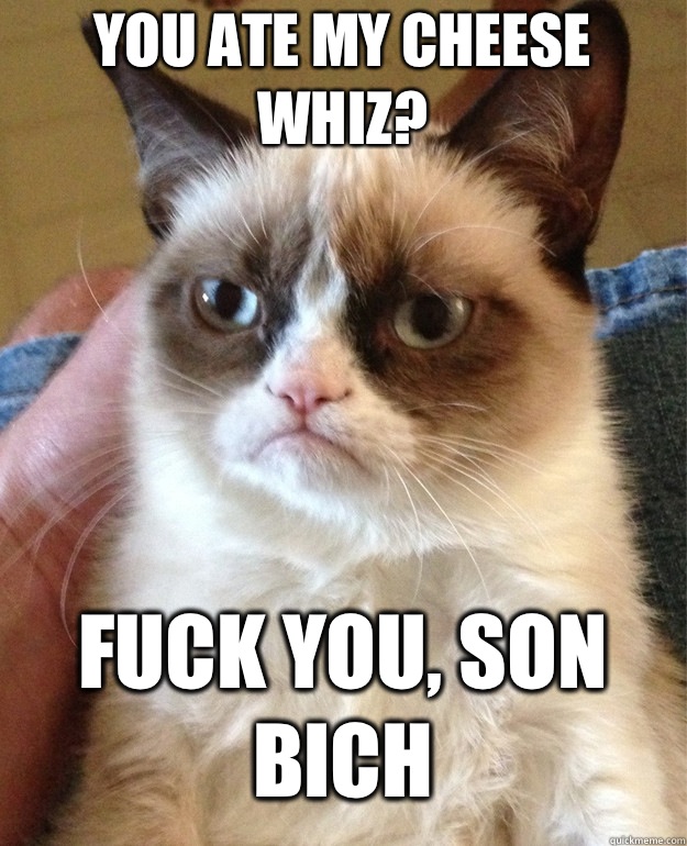 you ate my cheese whiz? fuck you, son bich  Grumpy Cat