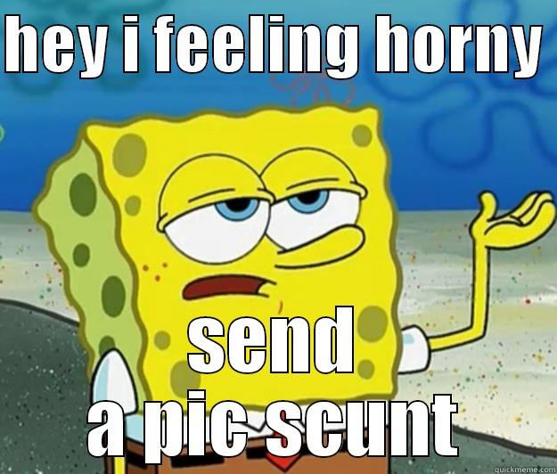 HEY I FEELING HORNY  SEND A PIC SCUNT Tough Spongebob