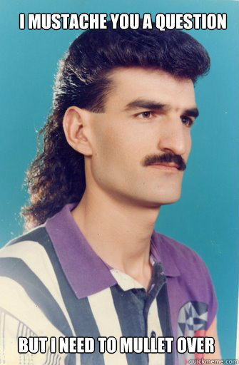 But I need to mullet over I mustache you a question - But I need to mullet over I mustache you a question  Mulletover