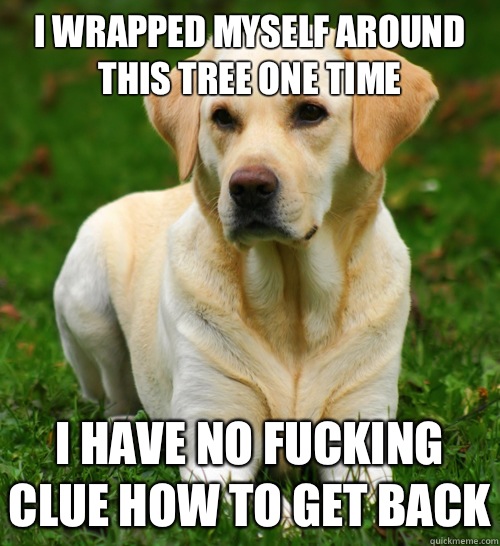 I wrapped myself around this tree one time I have no fucking clue how to get back  Dog Logic