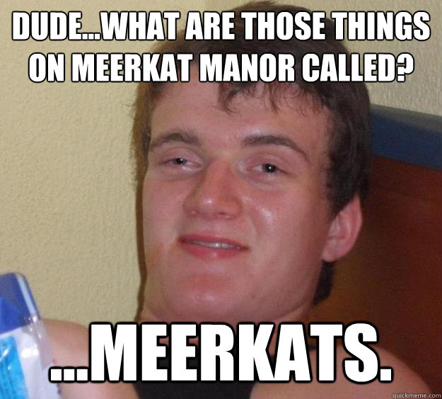 Dude...What are those things on meerkat manor called? ...Meerkats.   10 Guy