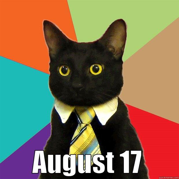  AUGUST 17 Business Cat