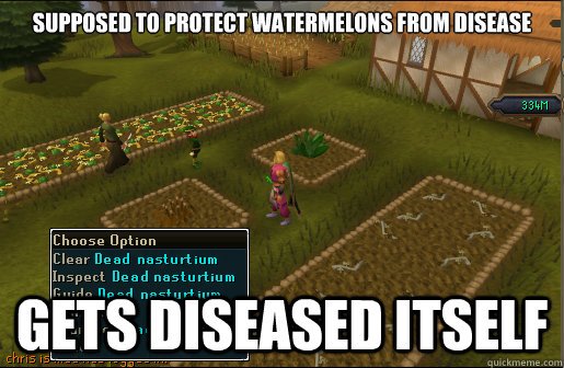 Supposed to protect watermelons from disease gets diseased itself - Supposed to protect watermelons from disease gets diseased itself  Scumbag Nasturtium