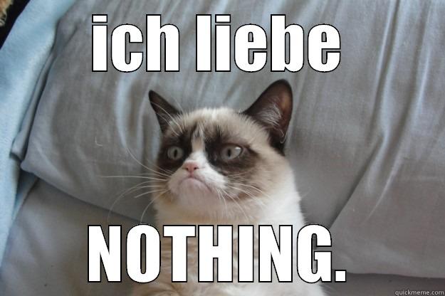 german grumpy cat - ICH LIEBE NOTHING. Grumpy Cat