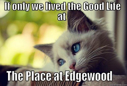 IF ONLY WE LIVED THE GOOD LIFE AT  THE PLACE AT EDGEWOOD    First World Problems Cat
