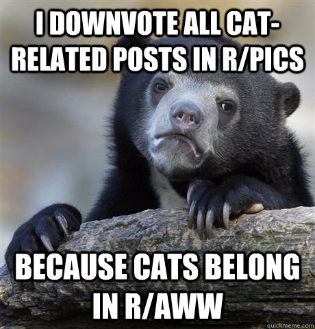 I downvote all cat-related posts in r/pics because cats belong in r/aww  Confession Bear