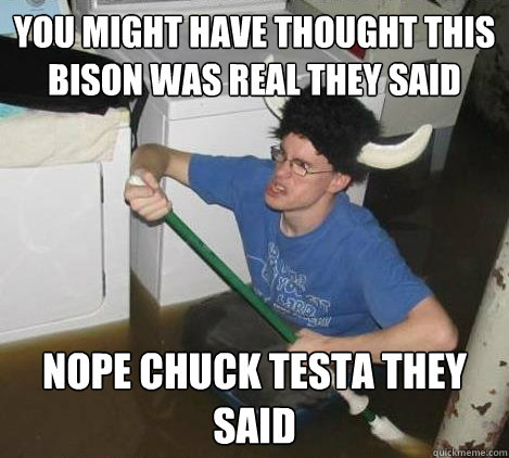you might have thought this bison was real they said nope chuck testa they said  They said