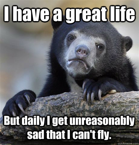 I have a great life But daily I get unreasonably sad that I can't fly.  Confession Bear