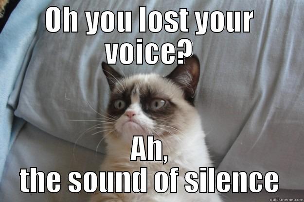 Lost voice - OH YOU LOST YOUR VOICE? AH, THE SOUND OF SILENCE Grumpy Cat