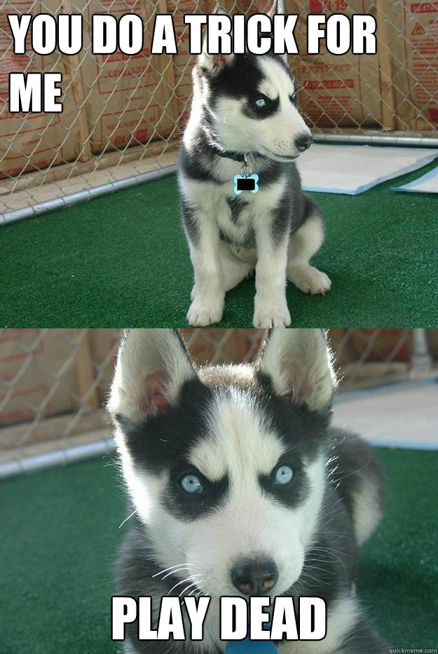 You do a trick for me Play dead  Insanity puppy