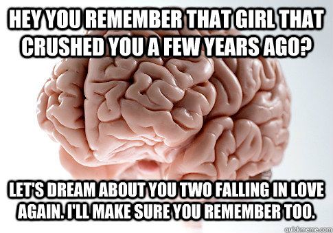 Hey you remember that girl that crushed you a few years ago? Let's dream about you two falling in love again. I'll make sure you remember too.  Scumbag Brain