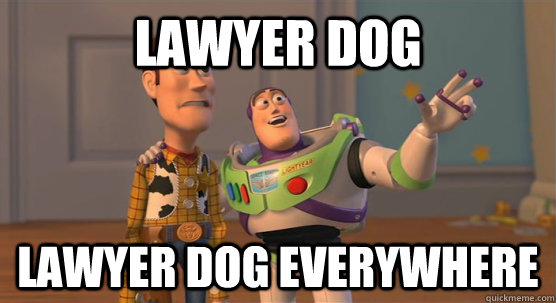 Lawyer dog lawyer dog everywhere - Lawyer dog lawyer dog everywhere  Toy Story Everywhere