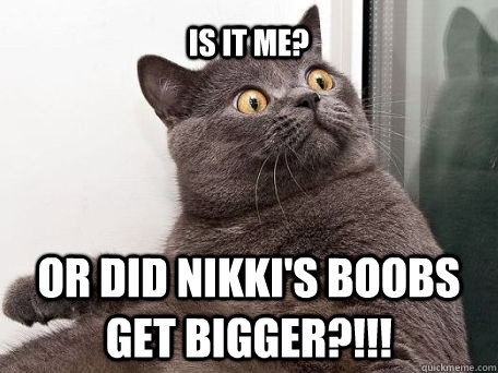 is it me? or did nikki's boobs get bigger?!!! - is it me? or did nikki's boobs get bigger?!!!  conspiracy cat