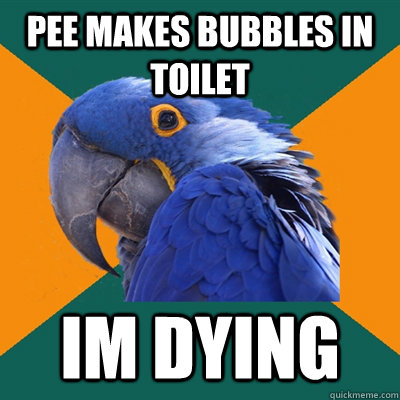 Pee makes bubbles in toilet im dying  Paranoid Parrot