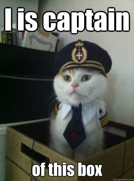 I is captain of this box  Captain kitteh