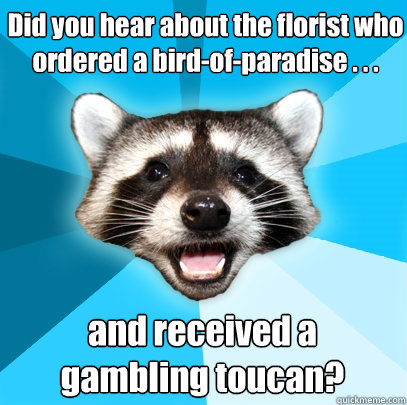 Did you hear about the florist who ordered a bird-of-paradise . . . and received a gambling toucan?  Lame Pun Coon