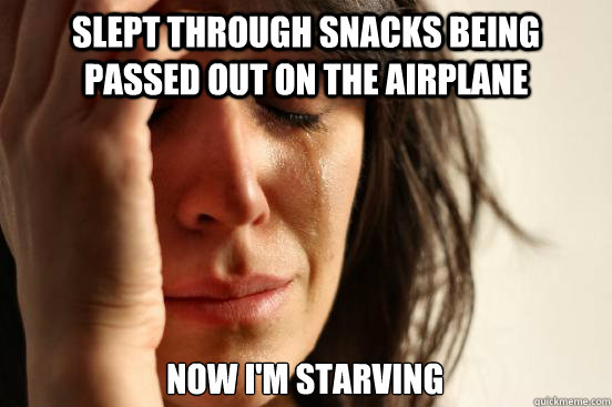 slept through snacks being passed out on the airplane now i'm starving  First World Problems