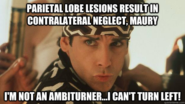 Parietal Lobe lesions result in contralateral neglect, maury I'm not an ambiturner...I can't turn left! - Parietal Lobe lesions result in contralateral neglect, maury I'm not an ambiturner...I can't turn left!  Contralateral Neglect