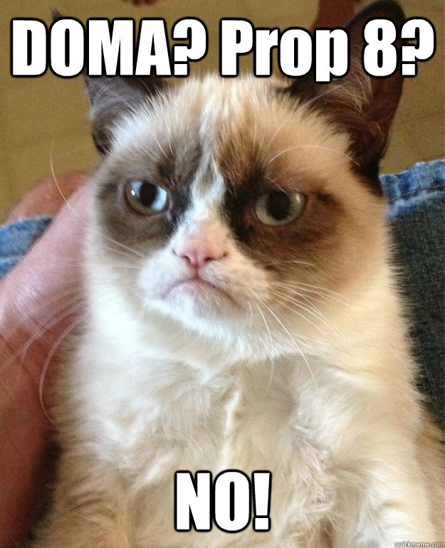 DOMA? Prop 8? NO! - DOMA? Prop 8? NO!  Misc