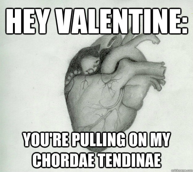 Hey Valentine: you're pulling on my chordae tendinae - Hey Valentine: you're pulling on my chordae tendinae  Misc