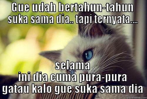 GUE UDAH BERTAHUN-TAHUN SUKA SAMA DIA.. TAPI TERNYATA.... SELAMA INI DIA CUMA PURA-PURA GATAU KALO GUE SUKA SAMA DIA First World Problems Cat