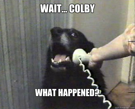 Wait... Colby What happened? - Wait... Colby What happened?  yes this is dog
