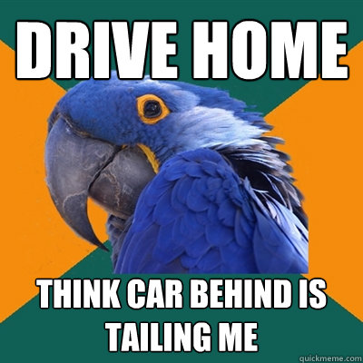 drive home think car behind is tailing me   Paranoid Parrot