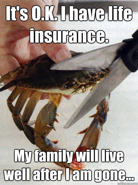 It's O.K. I have life insurance. My family will live well after I am gone... - It's O.K. I have life insurance. My family will live well after I am gone...  Optimistic Crab