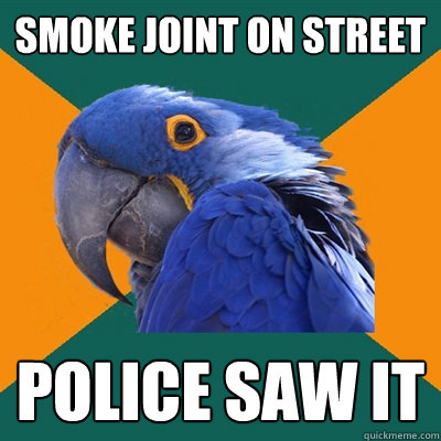 smoke joint on street police saw it  Paranoid Parrot