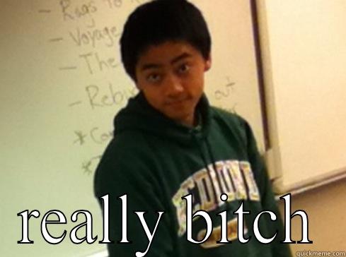 Disks disk den  -  REALLY BITCH Misc